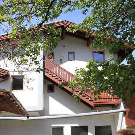 Ferienhaus Islitzer Hollersbach im Pinzgau Dış mekan fotoğraf